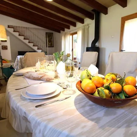 Holiday home Gato Den Vives *