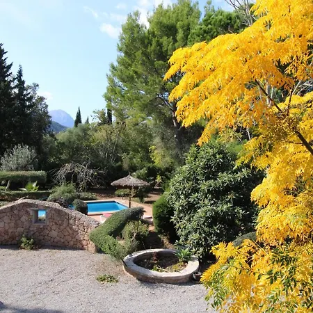 Holiday home Gato Den Vives