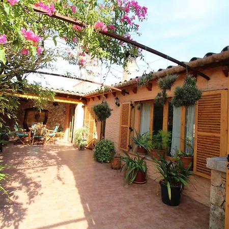 Gato Den Vives Holiday home Port de Pollenca