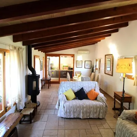 Gato Den Vives Holiday home